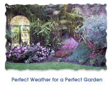 Perfect Weather for a Perfect Garden